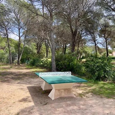 Appartement Le Panorama Des Pins - Terrasse, Golf, Piscine - 4 Pers